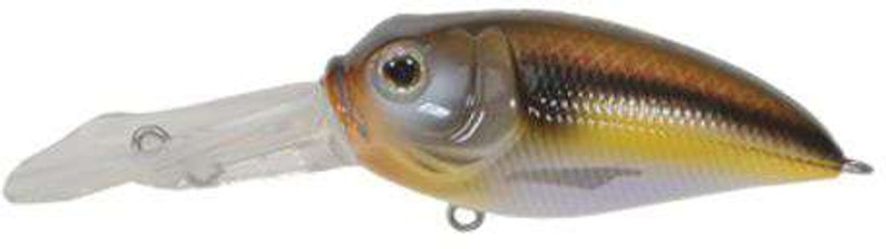 BD 6 Deep Diver - Duckett Fishing