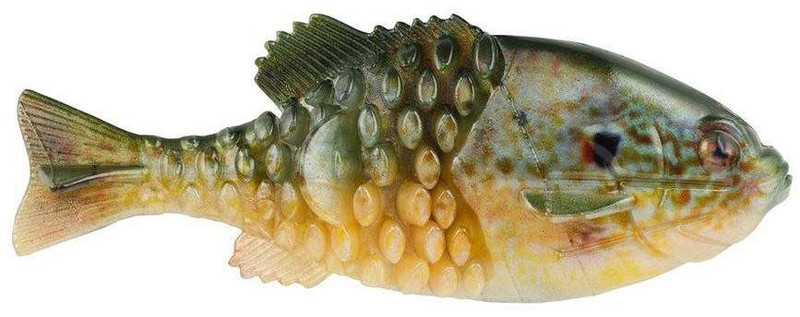 HD Pumpkinseed