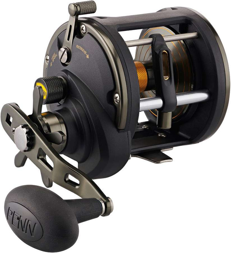 PENN Squall II Level Wind Conventional Fishing Reel, Black Gold, 15 :  : Sports & Outdoors