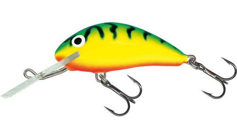 Floating lure Salmo hornet 6 cm : : Sports & Outdoors