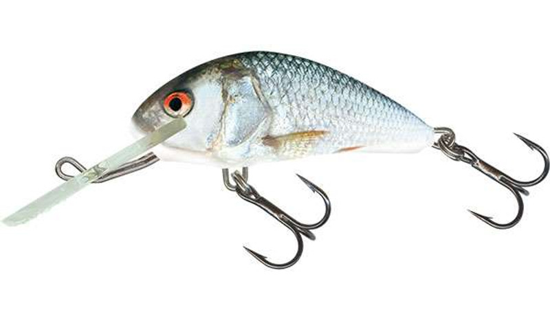 Salmo Hornet 6 Floating Crankbait - Real Dace - TackleDirect