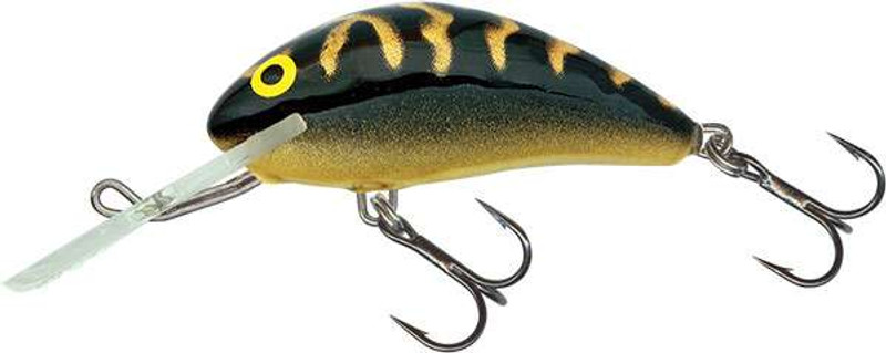 Salmo Trout Pack Fishing Lure Plugs : : Sports & Outdoors