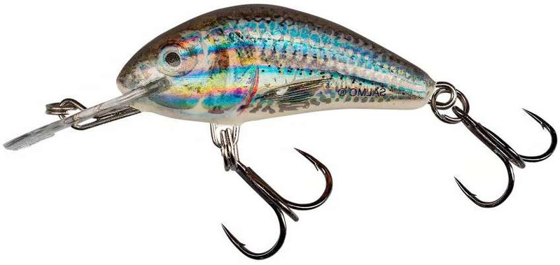 Salmo Bass Bug Review 