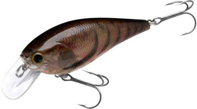 3 Black Flashback Chartreuse Square Bill KO of MB S-Crank - Connecticut  Custom Lures