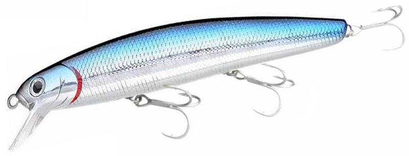 Lucky Craft Saltwater Flash Minnow 110 – Been There Caught That