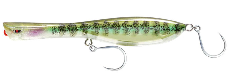  Nomad Design Dartwing Long Cast Sinking 130 Popper - Holo  Ghost Shad : Sports & Outdoors