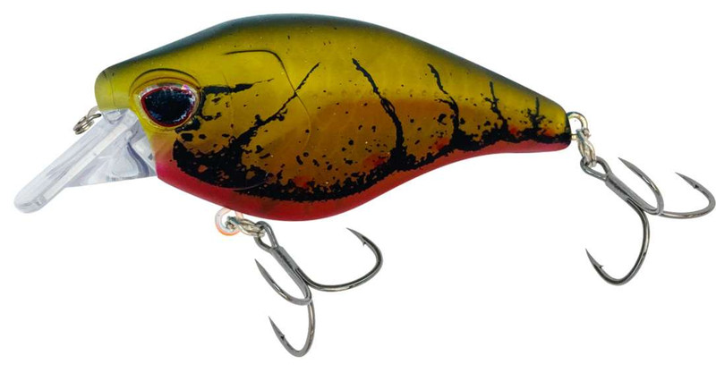 Nomad Design Atlas Square Bill Crankbait Citrus Shad 2 in.