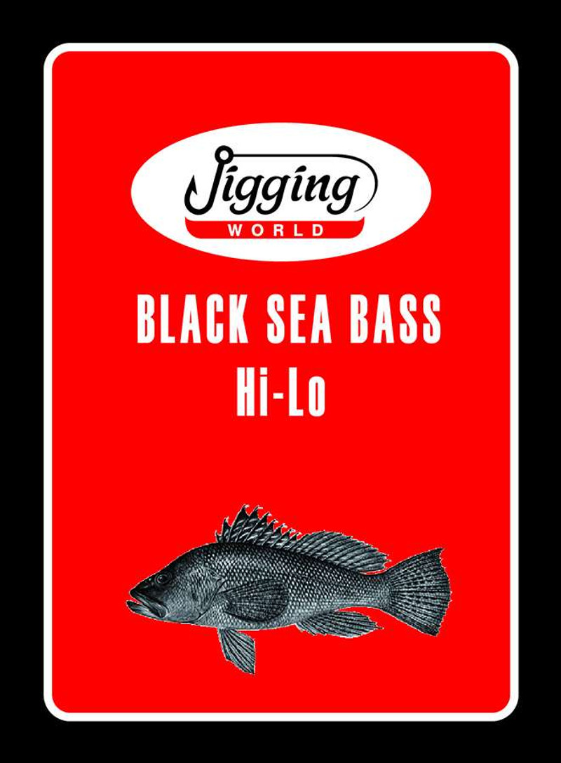 Jigging World Black Sea Bass 2-Hook Hi-Lo Rig - 2/0