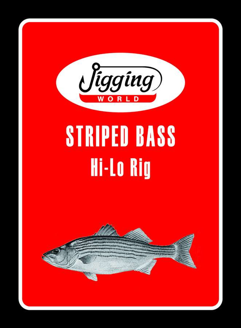 Jigging World Striped Bass Hi-Lo Inline Circle Hook Rig - TackleDirect