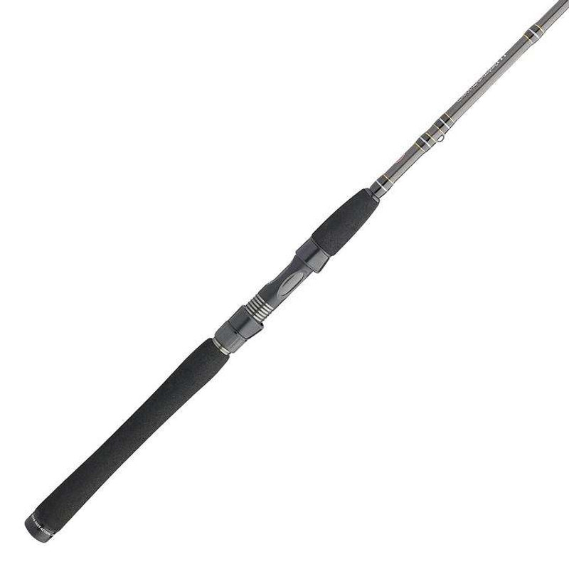https://cdn11.bigcommerce.com/s-palssl390t/images/stencil/800w/products/137233/224509/penn-carnage-iii-inshore-spinning-rods__12082.1697295899.1280.1280.jpg