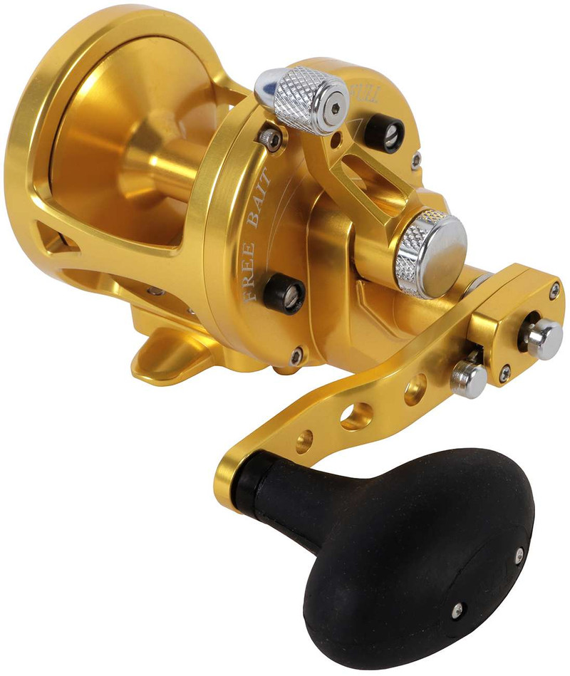 Avet MXL G2 6 4 2 Speed Reel Gold NGP TackleDirect