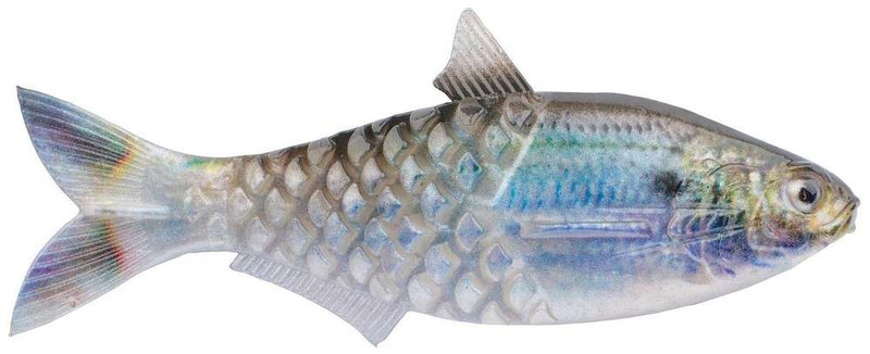 Berkley Powerbait Saltwater Gillydine Swimbait - TackleDirect