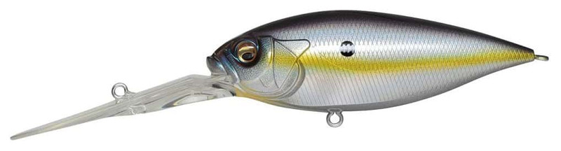  Megabass DEEP-Six Blue Back Mat Chart Deep Diving Crankbait :  Sports & Outdoors