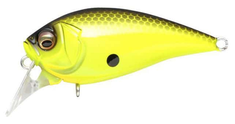 Megabass Knuckle FX Square Bill Crankbait Product Review