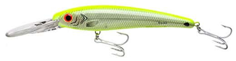 Silver Flash/Chartreuse