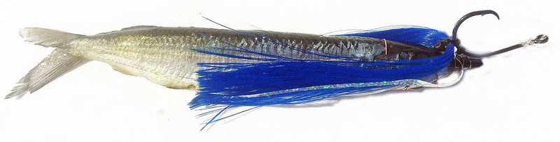 Fish DownSea Party Hat Lures - Sampler