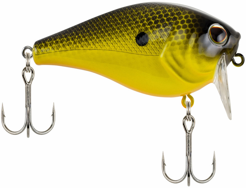 Buy Berkley Wakebull Topwater Fishing Hard Baits, Ghost Bluegill, 60mm -  2/5 oz Online at Lowest Price Ever in India