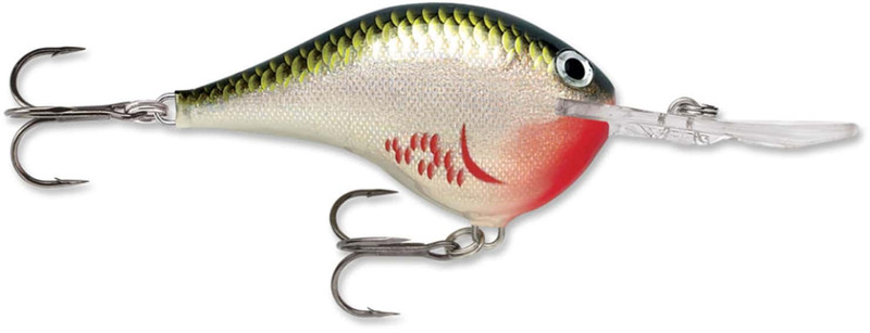 Purchase Rapala Crankin' Rap, freshwater crankbait