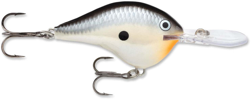  Rapala Ike's Custom Ink Crankbait (Blue Back Herring, DT06 -  2) : Office Products