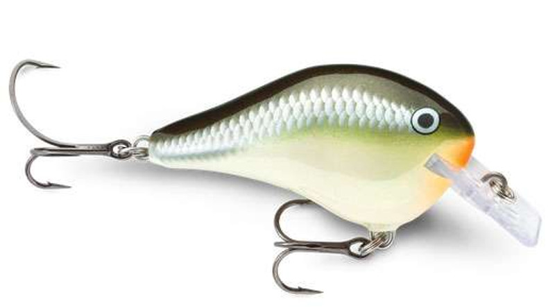Rapala Dives-To Fat Series Lures - TackleDirect