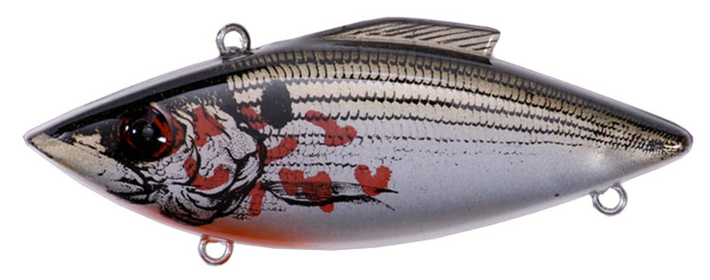 MitBill Lewis Classics Rat-L-Trap #65 Silver Shad Color 1/4 oz with Bo – My  Bait Shop, LLC