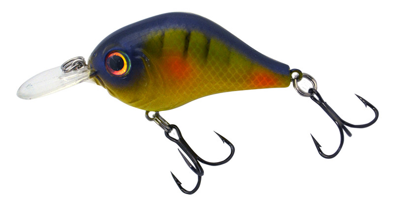 Bill Lewis MR-6 Crankbait Citrus Shad