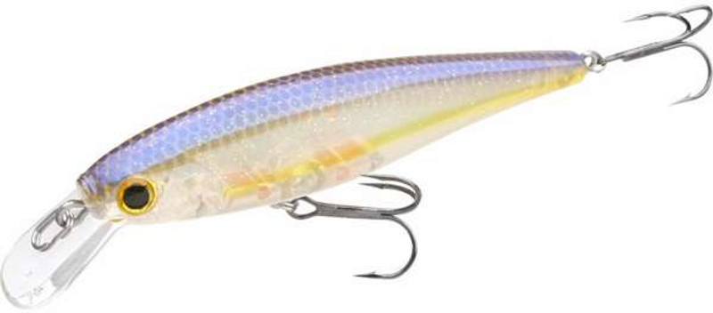 Lucky Craft PT78 Pointer 78SP Jerkbait Lure - TackleDirect