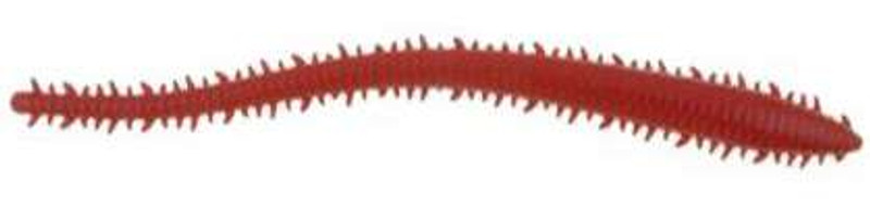 Gulp Saltwater Sandworm 6in - Veals Mail Order