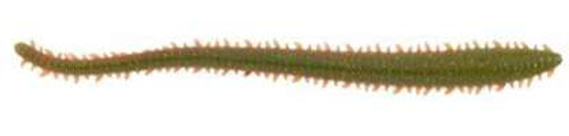 Berkley Gulp 6 Sandworm Camo – Brighton Angling