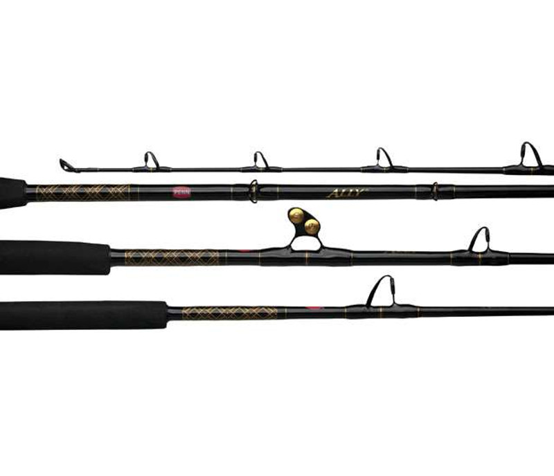 Penn ALLBW50100C60RS Ally Boat Rod - Conventional