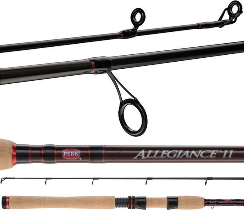 Buy PENN Allegiance II Spinning Surf Rod 12ft 8-12kg 2pc online at