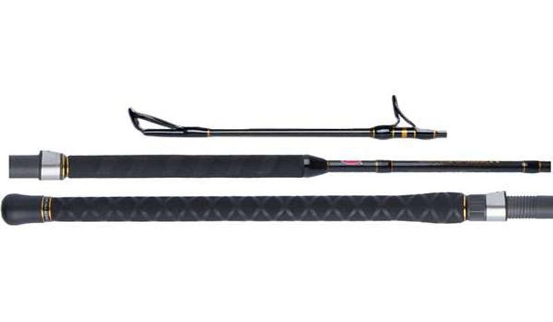  PENN Battalion II 10' Surf Spinning Rod; Two Piece