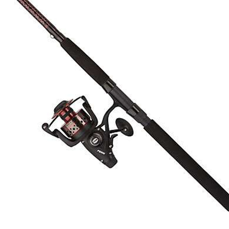 Penn Fierce II Spinning Combo