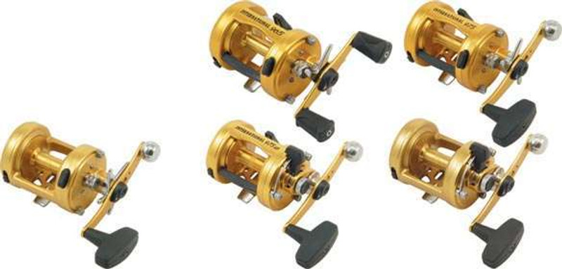 Penn International Baitcasting Reels