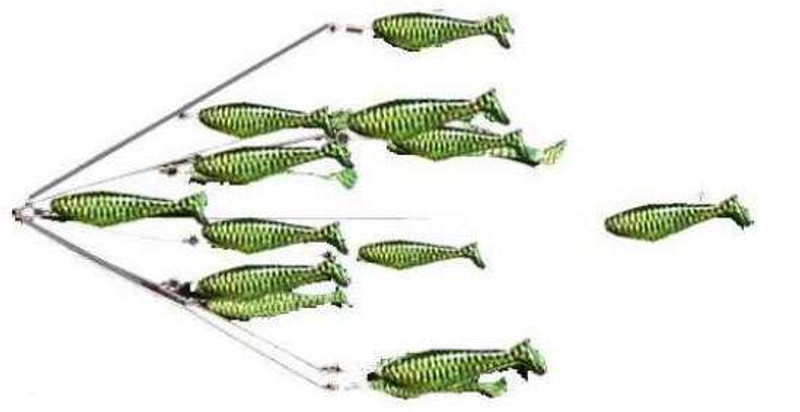 7 inch 4 arm Umbrella Rig with 4 4 inch shad teasers and Big Eye