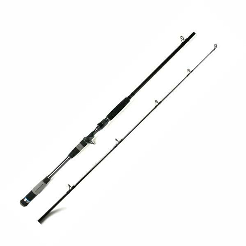 Phenix rods/Reels Salt/Bass