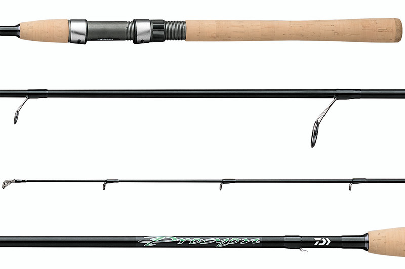 DaiwaDaiwa, Arid Coastal Inshore Saltwater Spinning Rod, 6'6 Length, 1pc