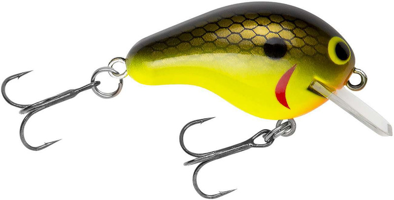  Bagley Baits Diving B1 - Chartreuse Shad : Artificial Fishing  Bait : Sports & Outdoors