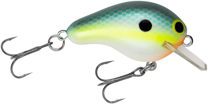 Bagley Rattlin Honey B Lure ? TackleDirect