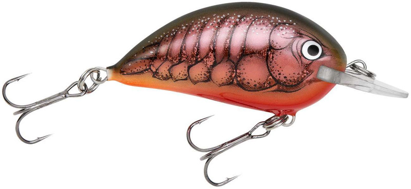 NPS Fishing - Bagley Bait Company Shallow Sunny B 05