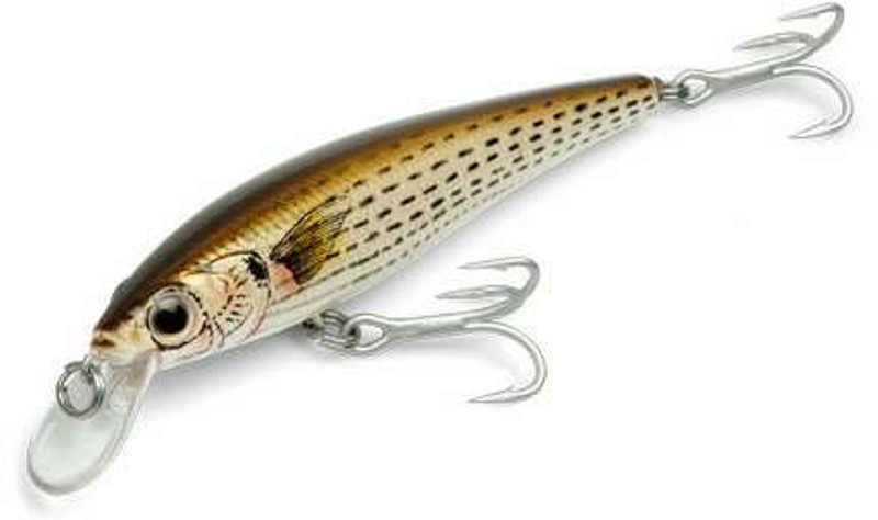 Baker Lures Topwater Popper