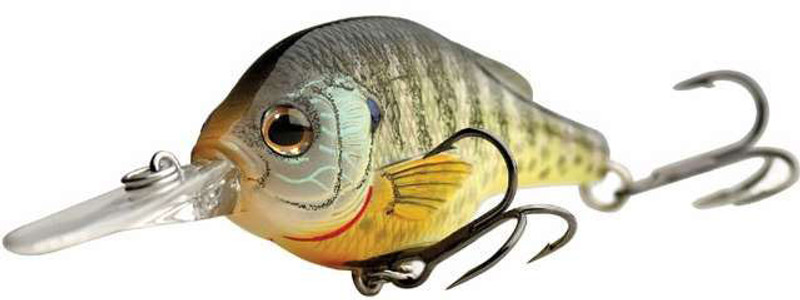 The 5 Best Lures for Big Bluegills