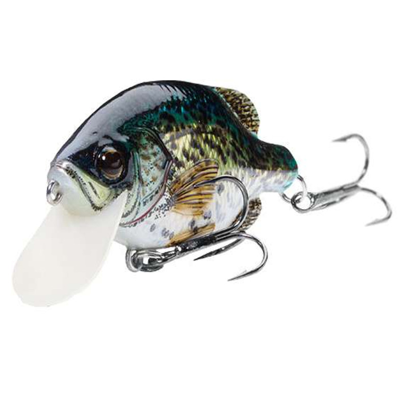 Crankbaits – Spinning Paradise