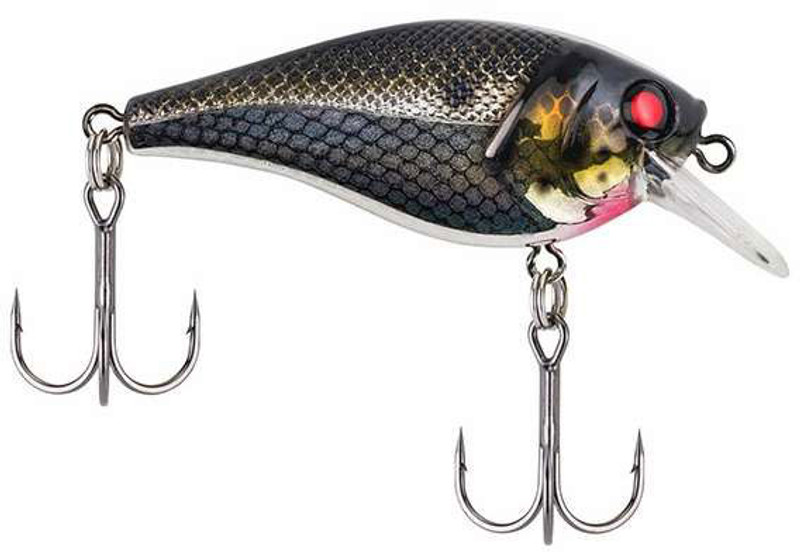 Berkley Topwater Fishing Baits, Lures for sale