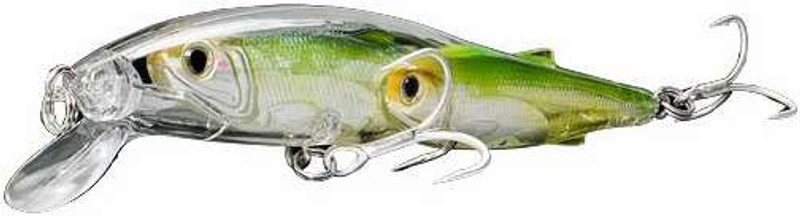 Live Target Glass Minnow – ZeroDNA