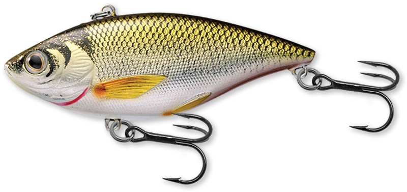 LIVETARGET Golden Shiner Rattlebait - 2in - Gold/Black - TackleDirect