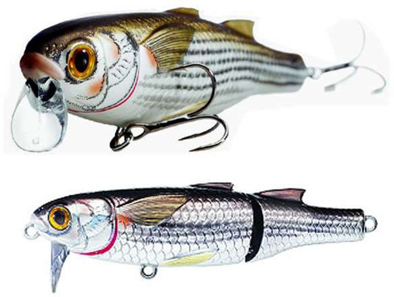 Fishing Lure HOW TO: Live Target Mullet Popper 