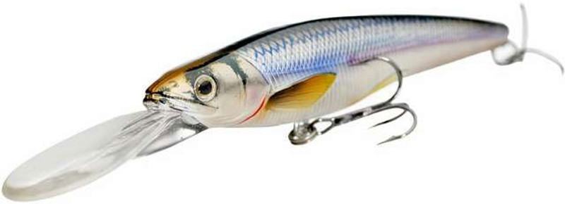 LIVETARGET Rainbow Smelt Jerkbait 