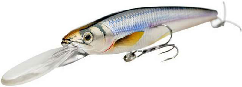 LIVE TARGET Trout Jerkbait : Fishing Topwater Lures  
