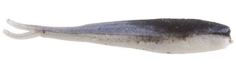 Chartreuse Shad